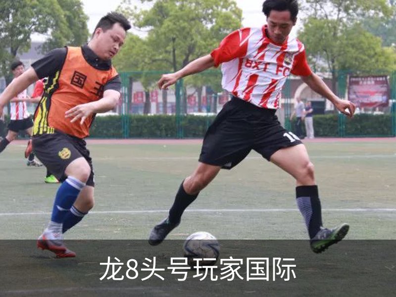 龙8头号玩家国际概况
